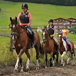 In - Salzburger Land 35292 Flachau