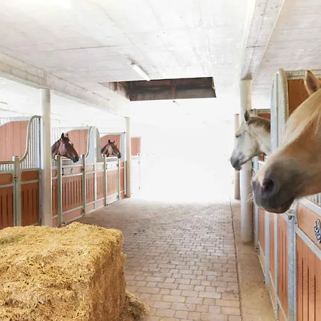 Apartamento In - Salzburger Land 35292 *