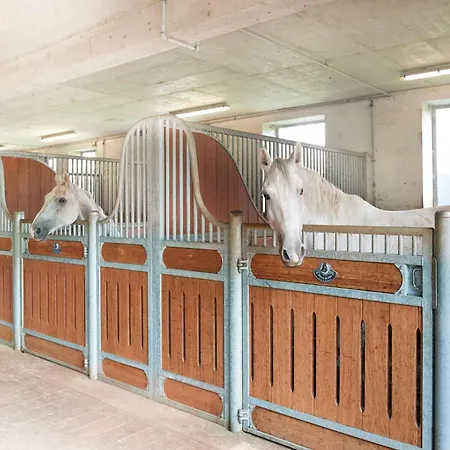 Apartment In Flachau - Salzburger Land 35292