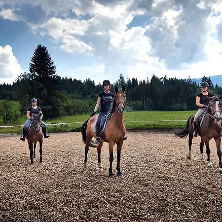 In Flachau - Salzburger Land 35292 Apartment Hundsdorfl