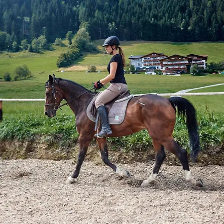 Apartamento In - Salzburger Land 35292