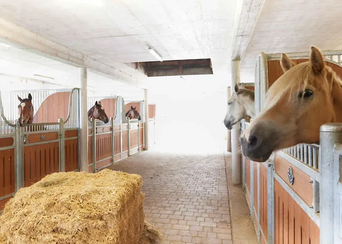 アパート In - Salzburger Land 35292 *