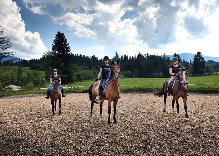 In - Salzburger Land 35292 アパート フラッハウ